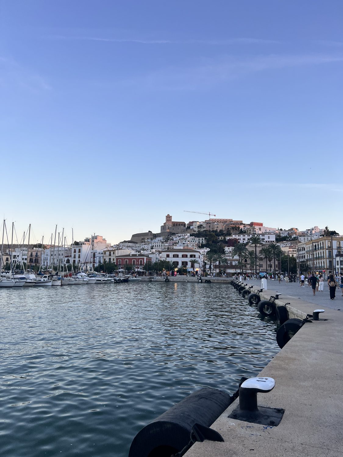 Blick auf den Hafen und die Altstadt von Ibiza